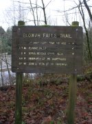 12.23.05 Elowah Falls 006 